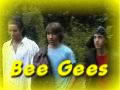 Bee Gees